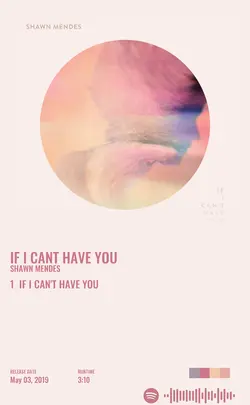 Shawn Mendes - If I Cant Have You.jpg
